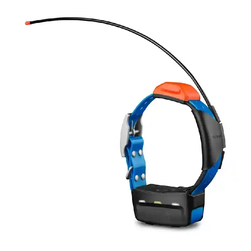 T 5X Dog Collar