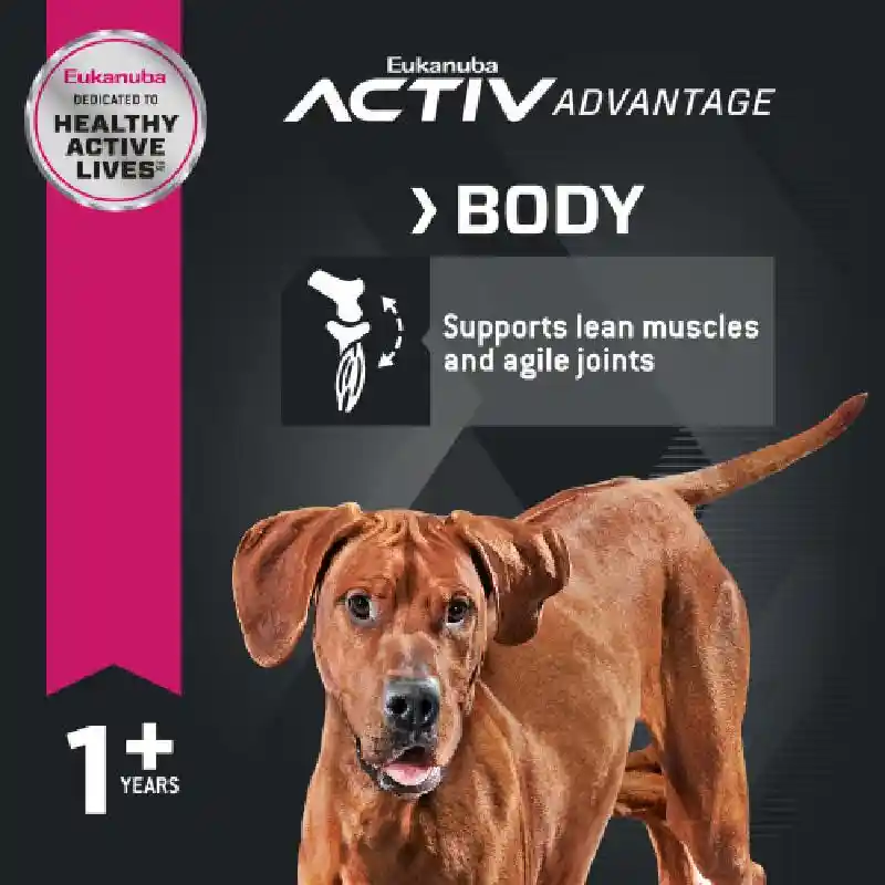 Eukanuba Large Adult 40#