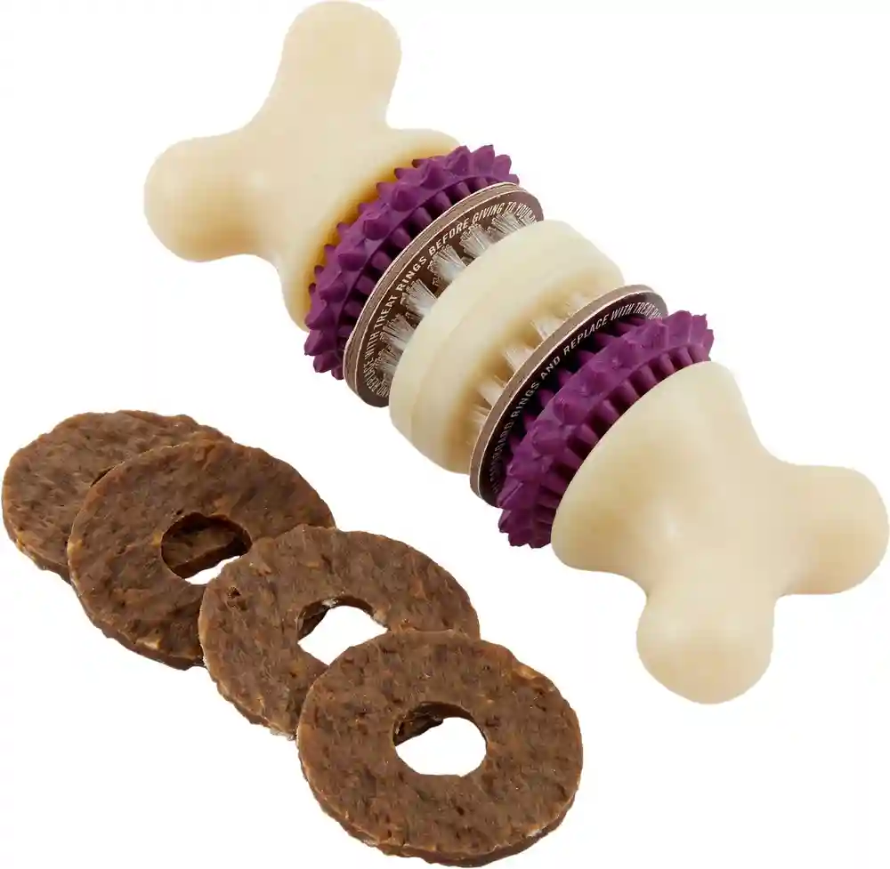 Busy Buddy Bristle Bone | Medium