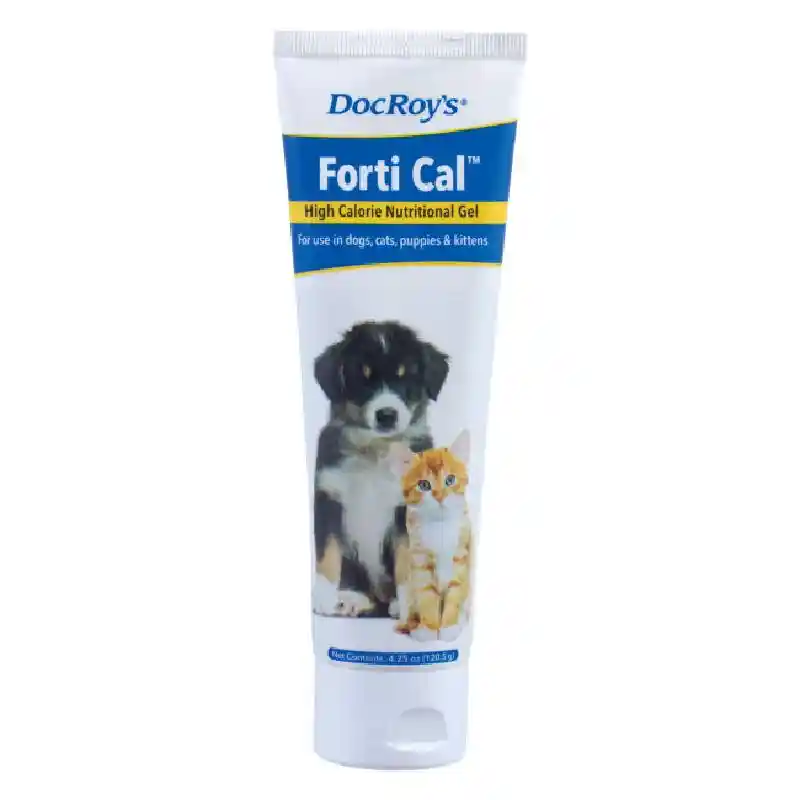 Fortical Gel
